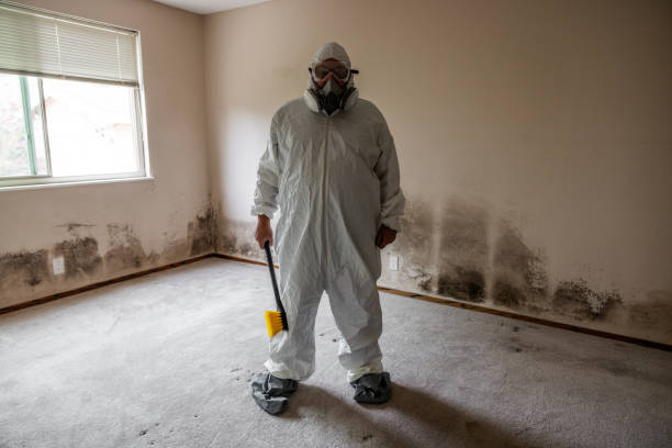 Best Commercial Mold Removal  in Hatch, NM